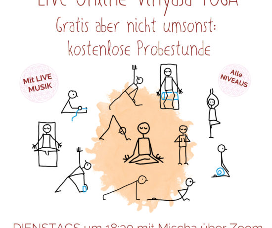 Gratis Vinyasa Yoga Stunde in Freiburg